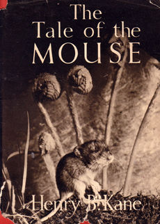 The Tale Of The Mouse by Kane Henry B