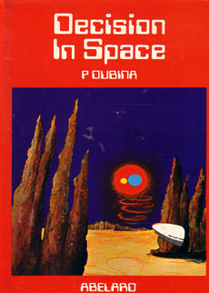 Decision in Space by Oubina Peter