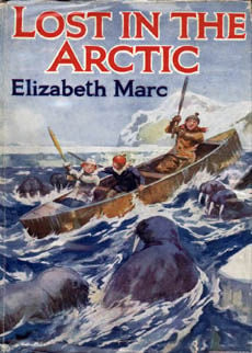 Lost In The Arctic by Marc Elizabeth
