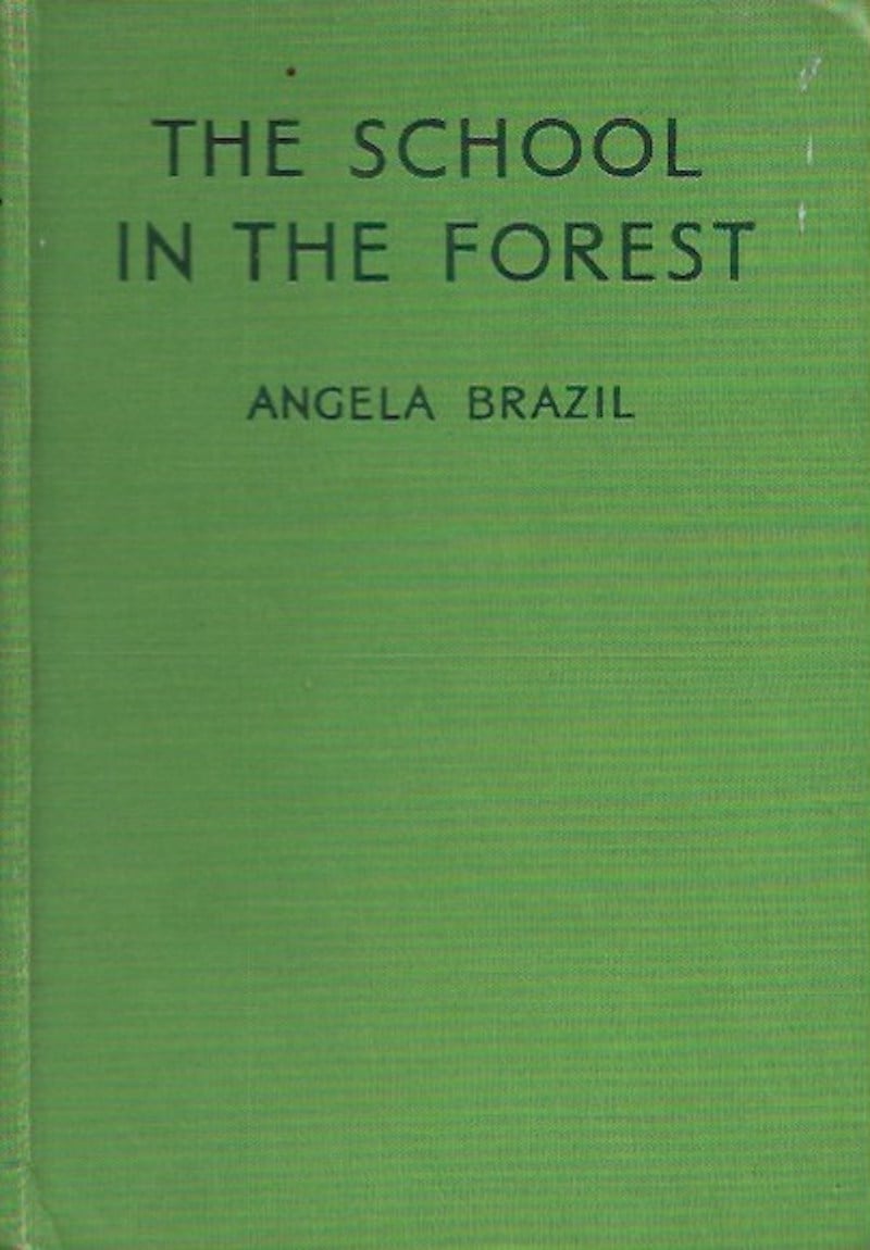 The School in the Forest by Brazil, Angela