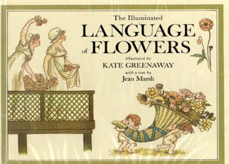 The Illuminated Language Of Flowers by Greenaway Kate