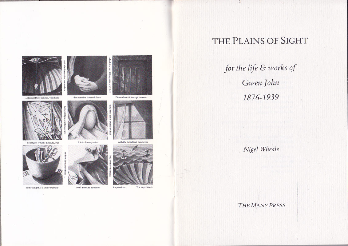 The Plains of Sight by Wheale, Nigel