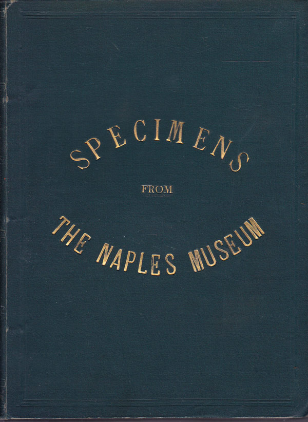 Specimens from the Naples Museum by Monaco, Domenico