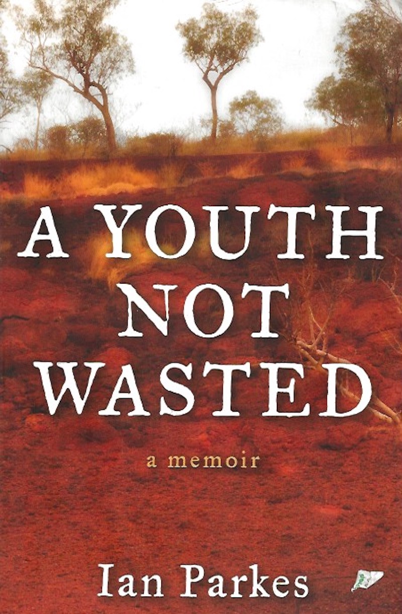 A Youth Not Wasted by Parkes, Ian