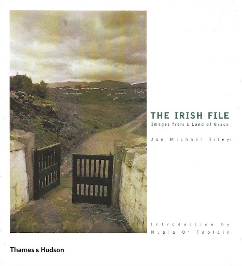 The Irish File by Riley, Jon Michael