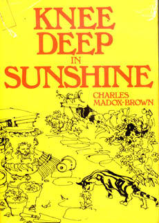 Knee Deep In Sunshine by Madox-Brown Charles
