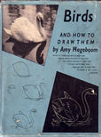 Birds and How to Draw them by Hogeboom Amy