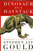 Dinosaur in a Haystack by Gould Stephen Jay
