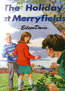 The Holiday At Merryfields by Davis Eileen