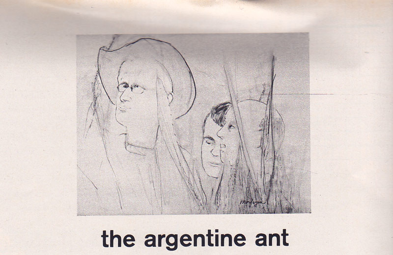 &quot;The Argentine Art&quot; by Calvino, Italo