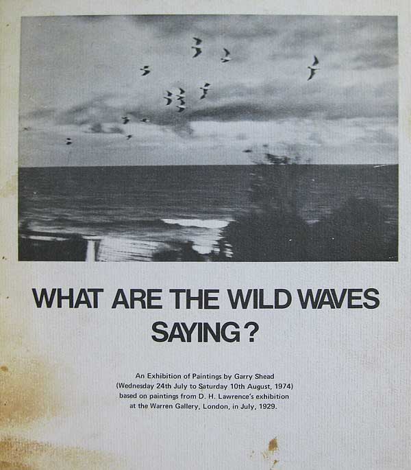 What Are the Wild Waves Saying? by Shead, Garry