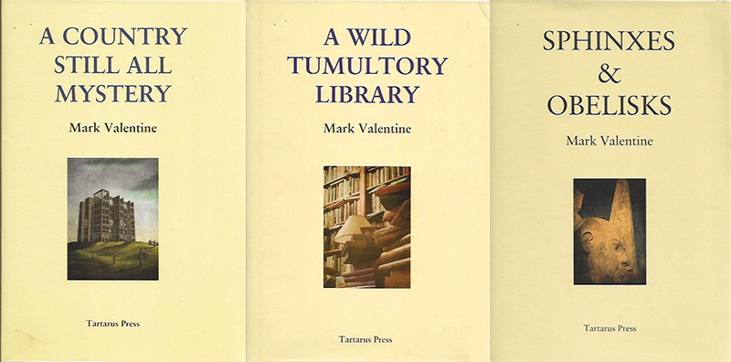 A Country Still All Mystery, A Wild Tumultory Library, Sphinxes and Obelisks by Valentine, Mark