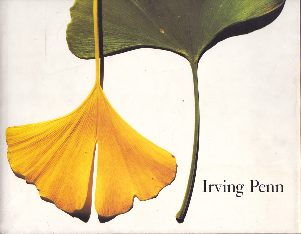 Passage - a Work Record by Penn, Irving