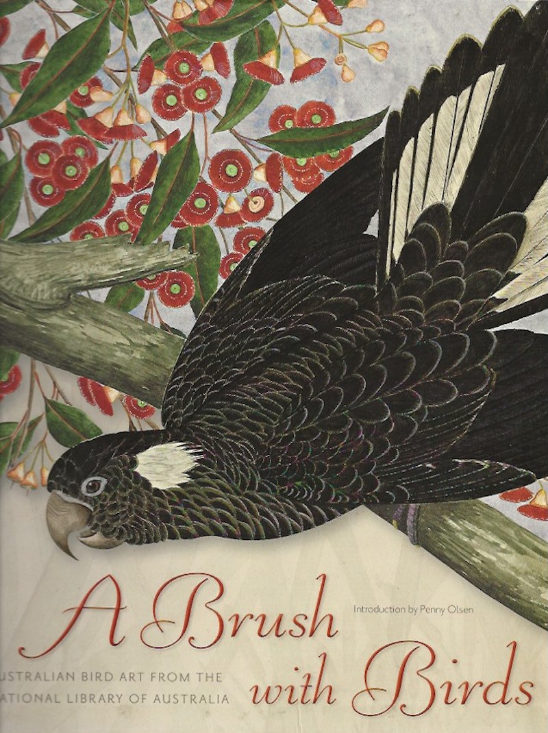 A Brush With Birds by West, Rebecca