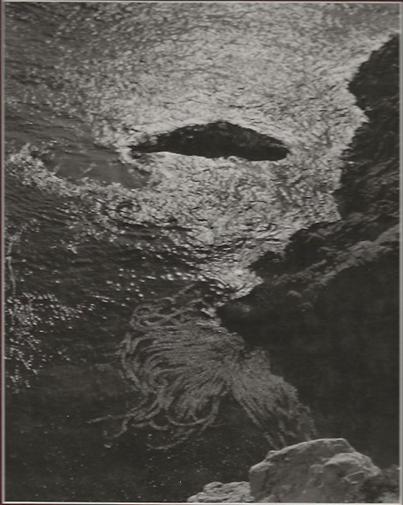 Edward Weston - His Life and Photographs by Maddow, Ben