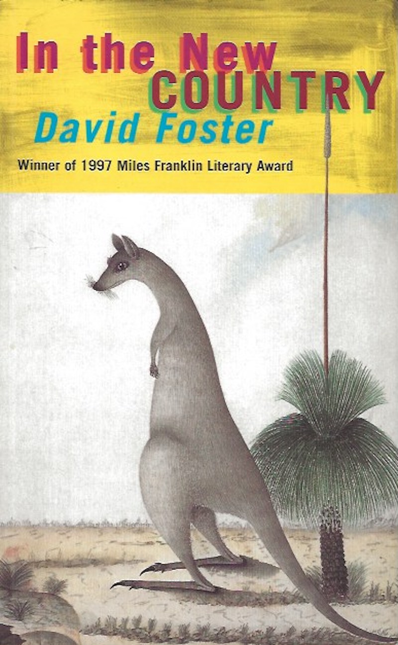 In the New Country by Foster, David