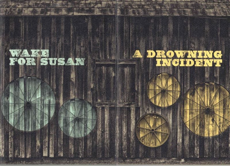 Wake for Susan [and] A Drowning Incident by McCarthy, C.J.