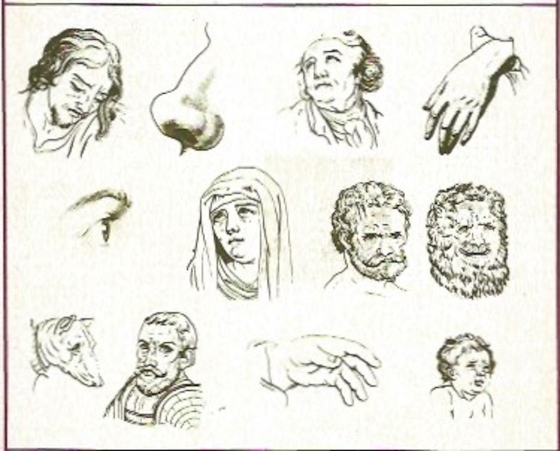 Physiognomy in the European Novel by Tytler, Graeme