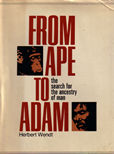 From Ape to Adam by Wendt Herbert